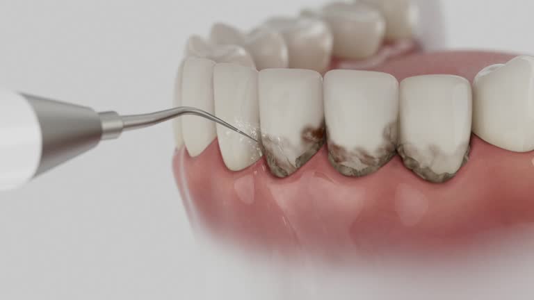 Reliable Dental contractor in Warsaw, VA by Dentist Open Now